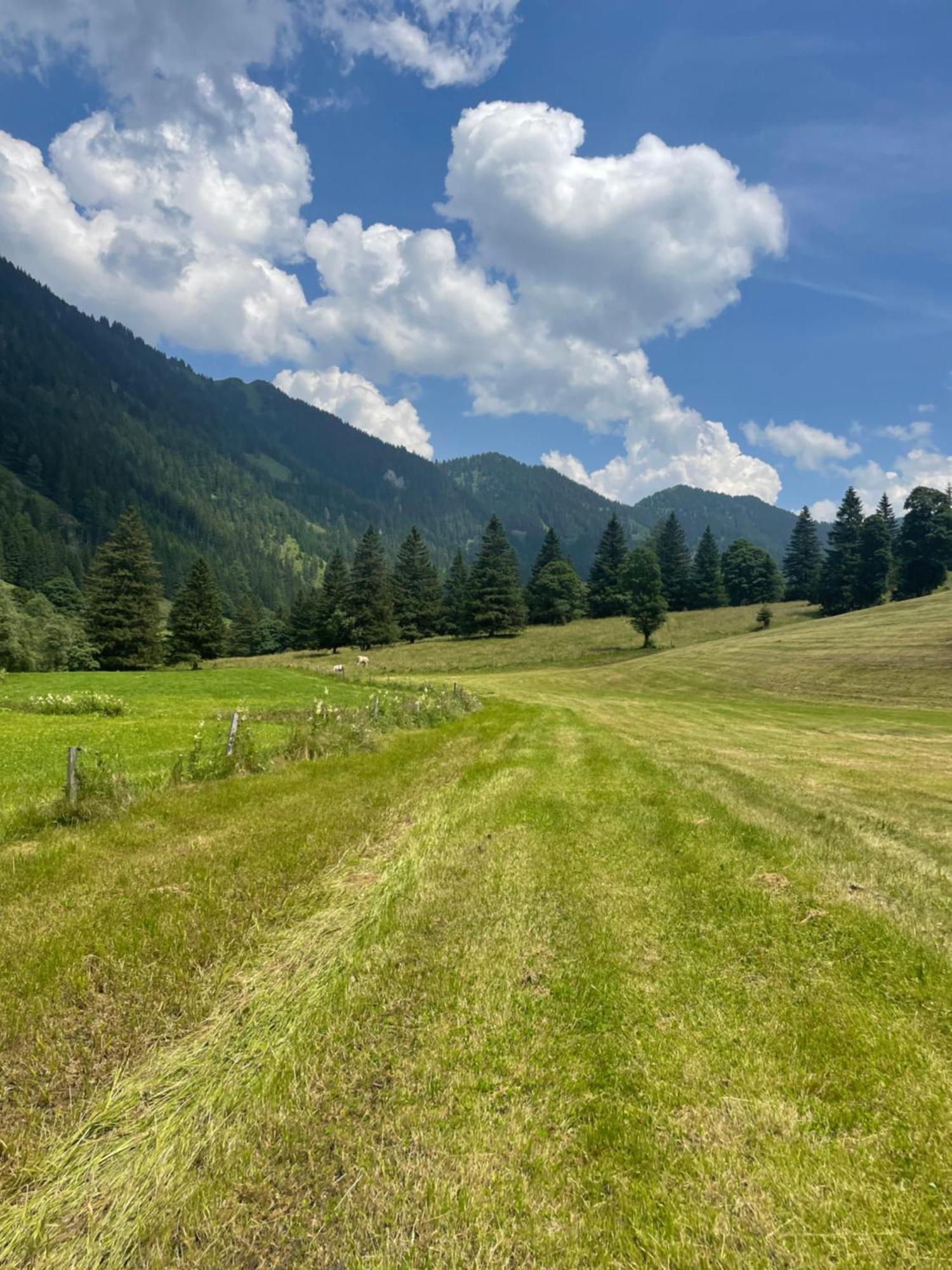 Ferienwohnungen Danglmaier - Stallbauer Pusterwald Exterior foto